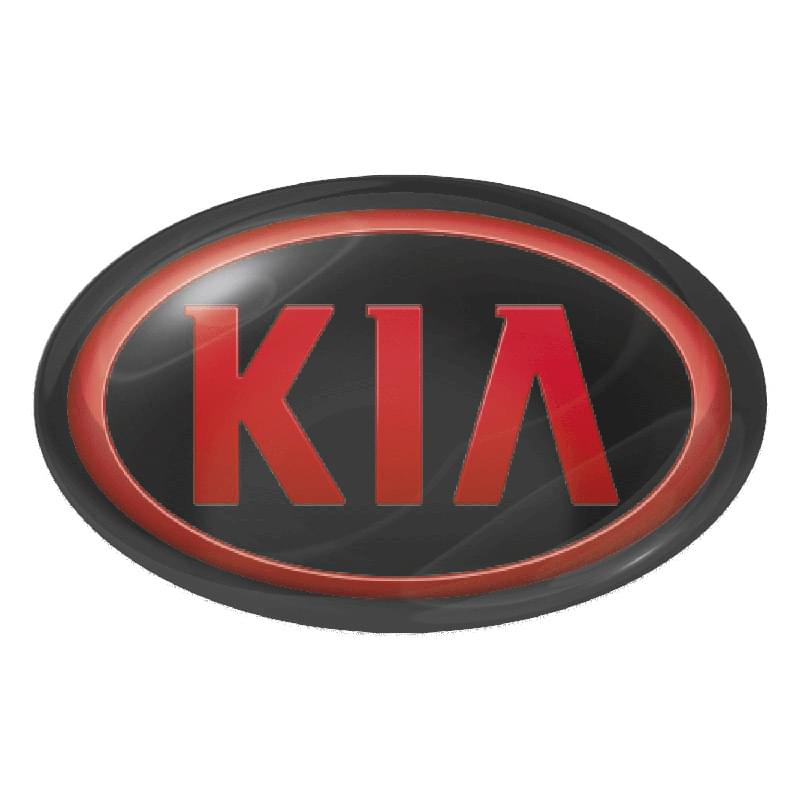 White Vinyl Perm Adh Full Color Oval Domed Decal (1 1/4"x2")
